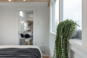 415_Mint Tiny Homes_L30.STR.BRUNO.23-146