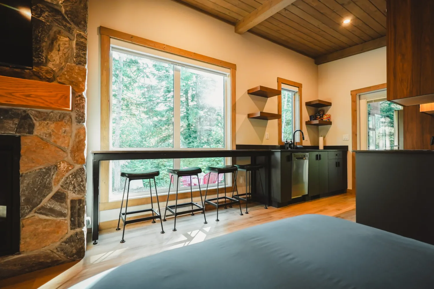 Mint Tiny House - Selkirk model